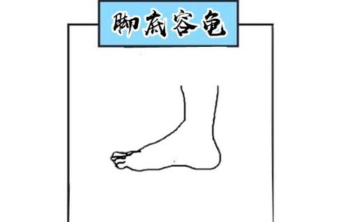 脚掌形态与人生际遇之对应