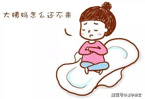 引起 **月份 ** 不调的原因