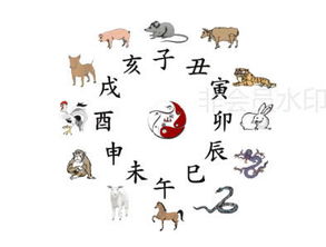 1927年出生的人今年多少岁，他们属什么生肖？