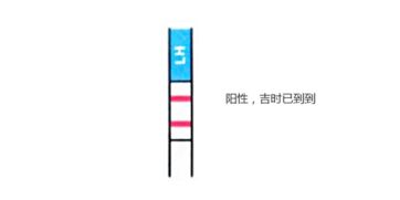 怎样正确采用怀孕试纸
