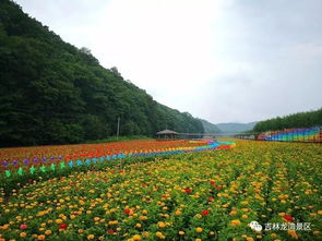 惯与那个什么交通