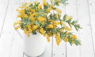 三、 这些花花草草必须买买买！