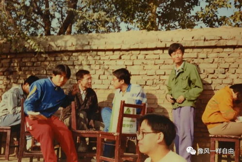 一、 国学视域：孝悌之源与亲情意蕴