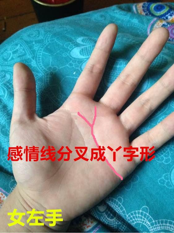 手相与运势的总体阐释