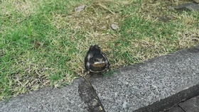 二、 事件经过的层层递进