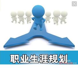 择业如钓鱼：选对池塘方能收获丰硕