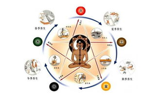 五行风水生气方指的是什么？生气五行分别代表哪些元素？