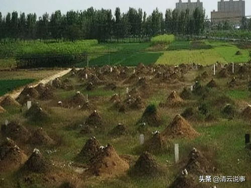 期待落空及人际冲突之警示