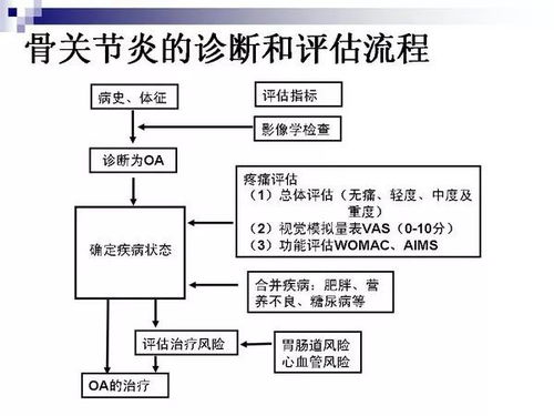 5.1 对人格阴影进行系统梳理——阴影型人格理论结合十二生肖映射