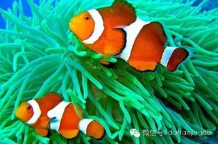 盐城金鹰海洋世界：不来看你就亏成狗！