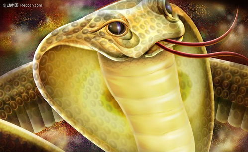 a) 基于亲昵前缀的小名示例