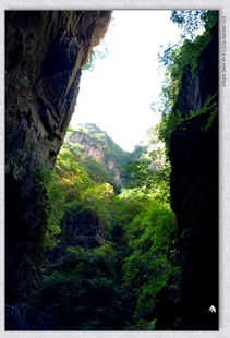 震惊！南石洋大峡谷门票竟然可以这样买？2026年属蛇的要注意了！