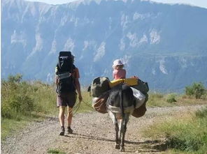 穷游真的嫩玩得精彩吗？那些年我们用小钱游遍的大世界