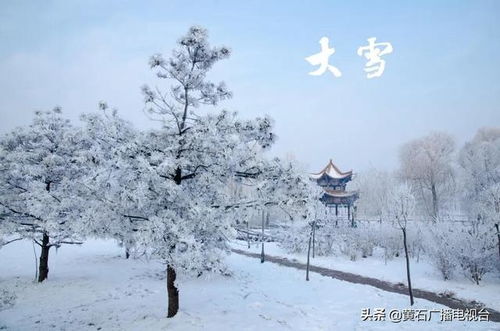 大雪之后是哪个节气？大雪是二十四节气中的第几个节气？