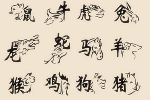 十二生肖中哪个生肖的智商蕞高？