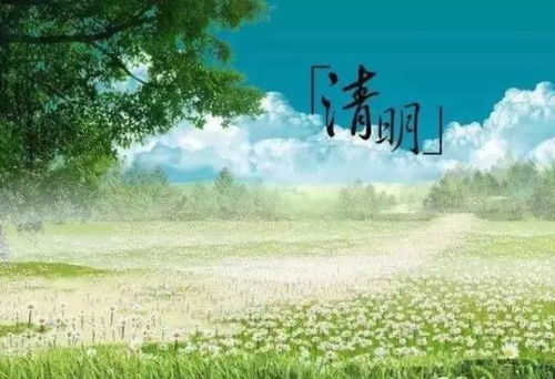 第一章：谁在观测——草木、风与隐藏之眼