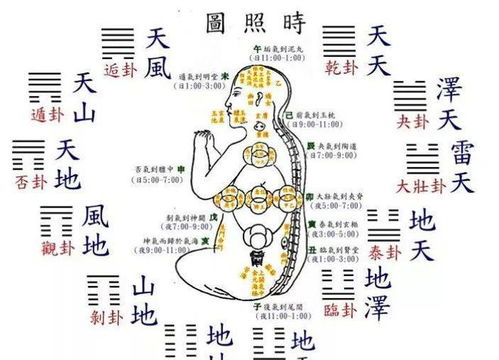 修真乳哺之法：上丹田的重要性
