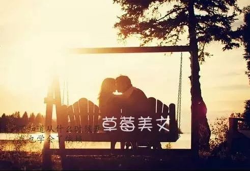 难以割舍的情感羁绊