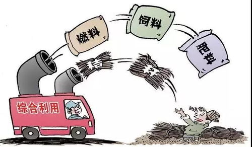 1.1 母象构建中的伦理维度