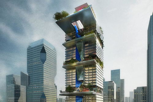 购物攻略：花钱买罪受的艺术