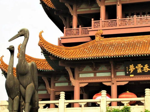 2026年省钱歪招大公开