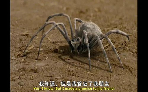 一、 窥视之影：互联网背后的隐形危及