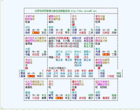 请问如何通过八字免费进行职业分析和八字免费合盘分析？