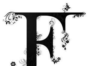 1. Frank——不仅仅是坦率， 梗是灵魂的裸奔