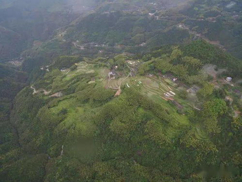五宝田自然村：山清水秀但蚊子多