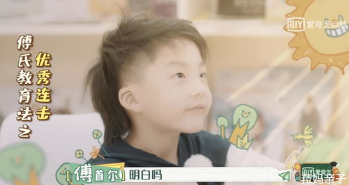 一、 搞笑博主类型划分及其影响力结构