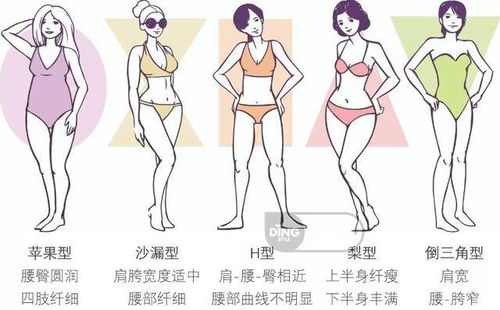 3. 下巴丰满：物质财富的积累象征