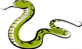 属蛇人风水吉凶怎么看？属蛇女人最佳丈夫是谁？