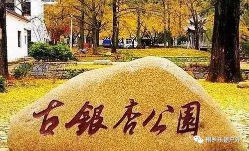 【呕】餐饮区是生化武器试验场吧？