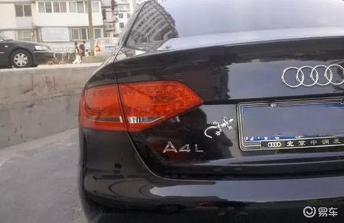 2.1 “避祸”、“庇护”谐音带来的吉利期盼