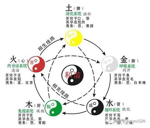 请问如何将手机号码中五行都属水的特点改写成长尾关键词？