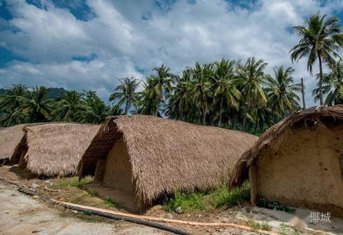 福建人的后裔？不，是海南的土著！