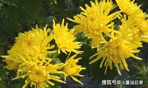 2.1 男孩篇——坚硬核版
