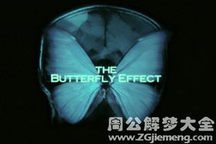 周公解梦中梦见蝴蝶究竟预示着什么含义？