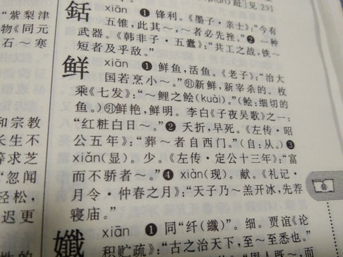 文言语境中阙的多元用法