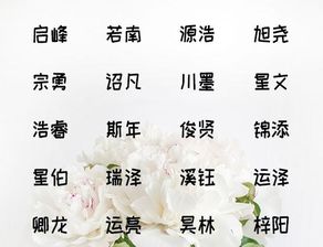 3. 文化底蕴底蕴：让名字有故事可讲