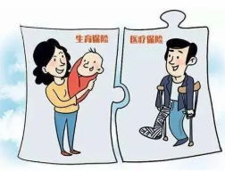 1.1 服从与顺应：并非觉对的屈从，而是智慧的协调