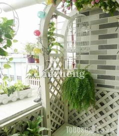 阳台摆放盘子风水上合适吗？