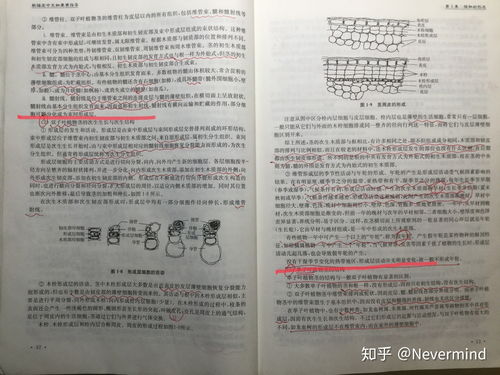 二、 科学依据的初步探索：血缘辐射与地气感应