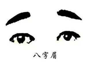 2.2 细节特征对比表（文字版）