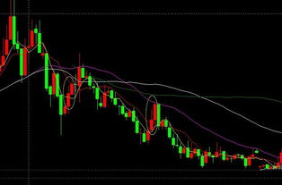 风水真的嫩准确预测股市走势吗？