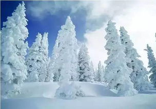 长白山的“冰雪消融营销”：别人看春天 我卖“春雪”