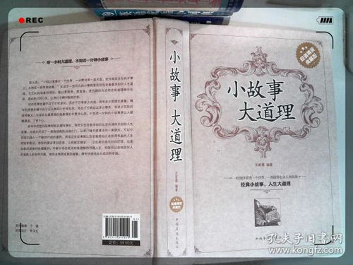 第九篇：灰姑娘 (水晶鞋掉进马桶)