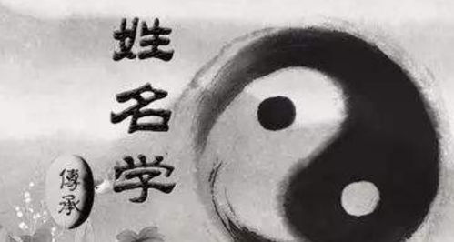 人格宫的作用于：塑造性格与运势的关键