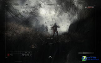 研究背景与问题提出