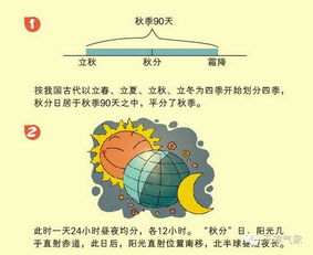 三、 有氧运动与代谢激活机制之关联探究